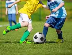 联袂微星探,访对外经贸,大学,韦德体育平台,韦德体育官方网站,韦德体育登录入口,韦德体育app下载