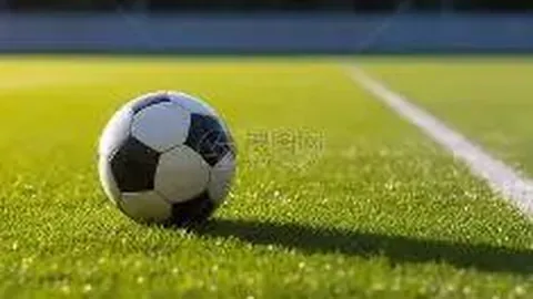 《体坛快讯》20250251